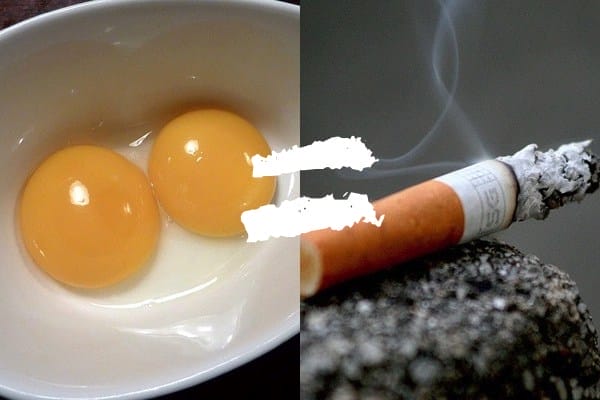 Eggs are Nearly as Bad for Your Arteries as Cigarettes! – One Green Planet