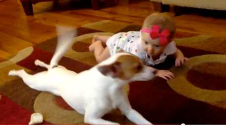 Dog Teaches Baby How to Crawl (video)