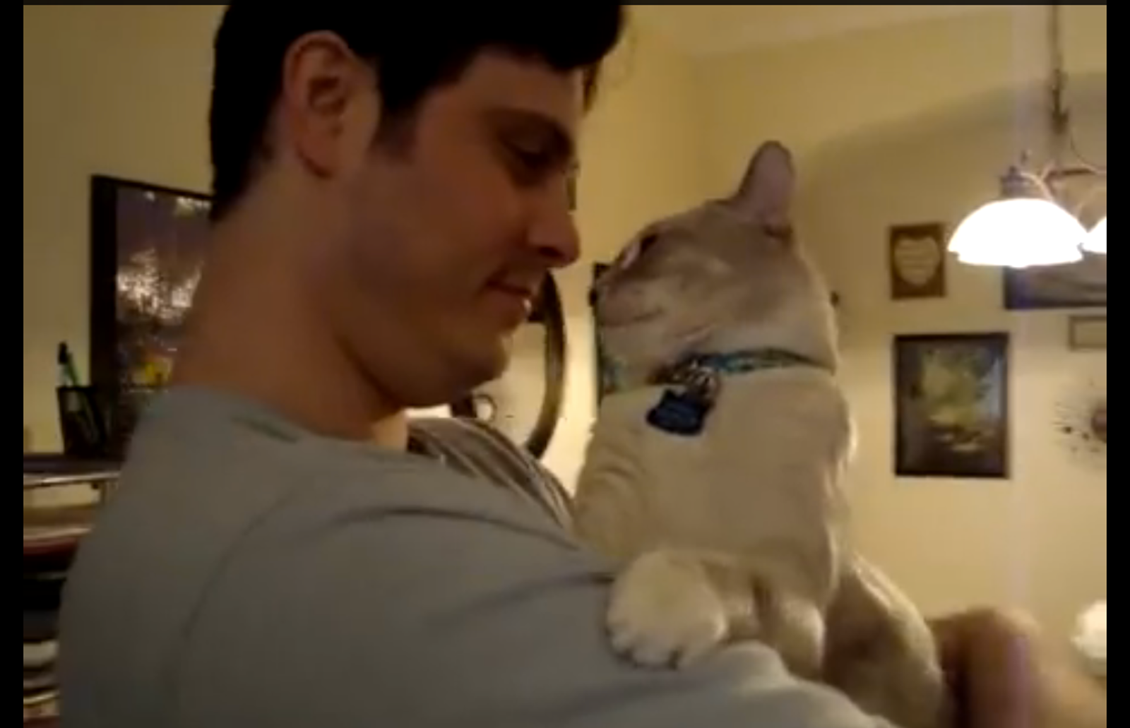 Cornelius the Cat Loves His Daddy More Than Anything in the World – One