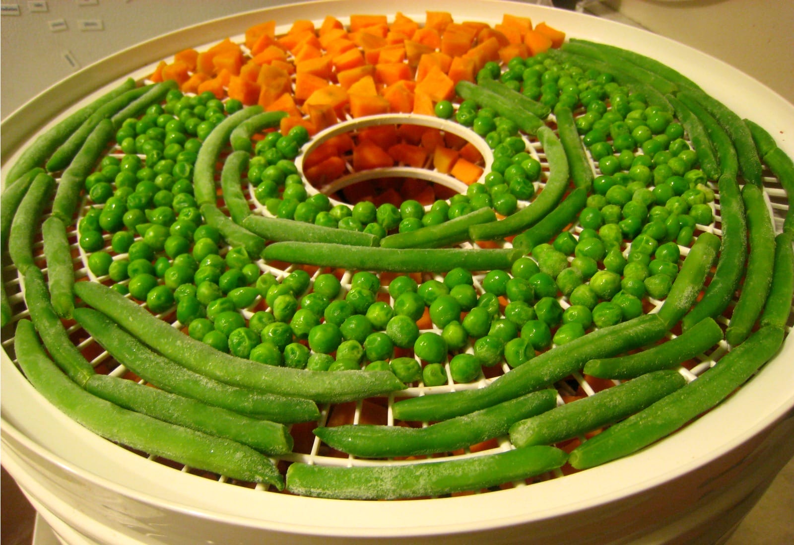 Food dehydrator with stainless steel trays drying fruit and vegetable slices for plant-based snacks in 2026