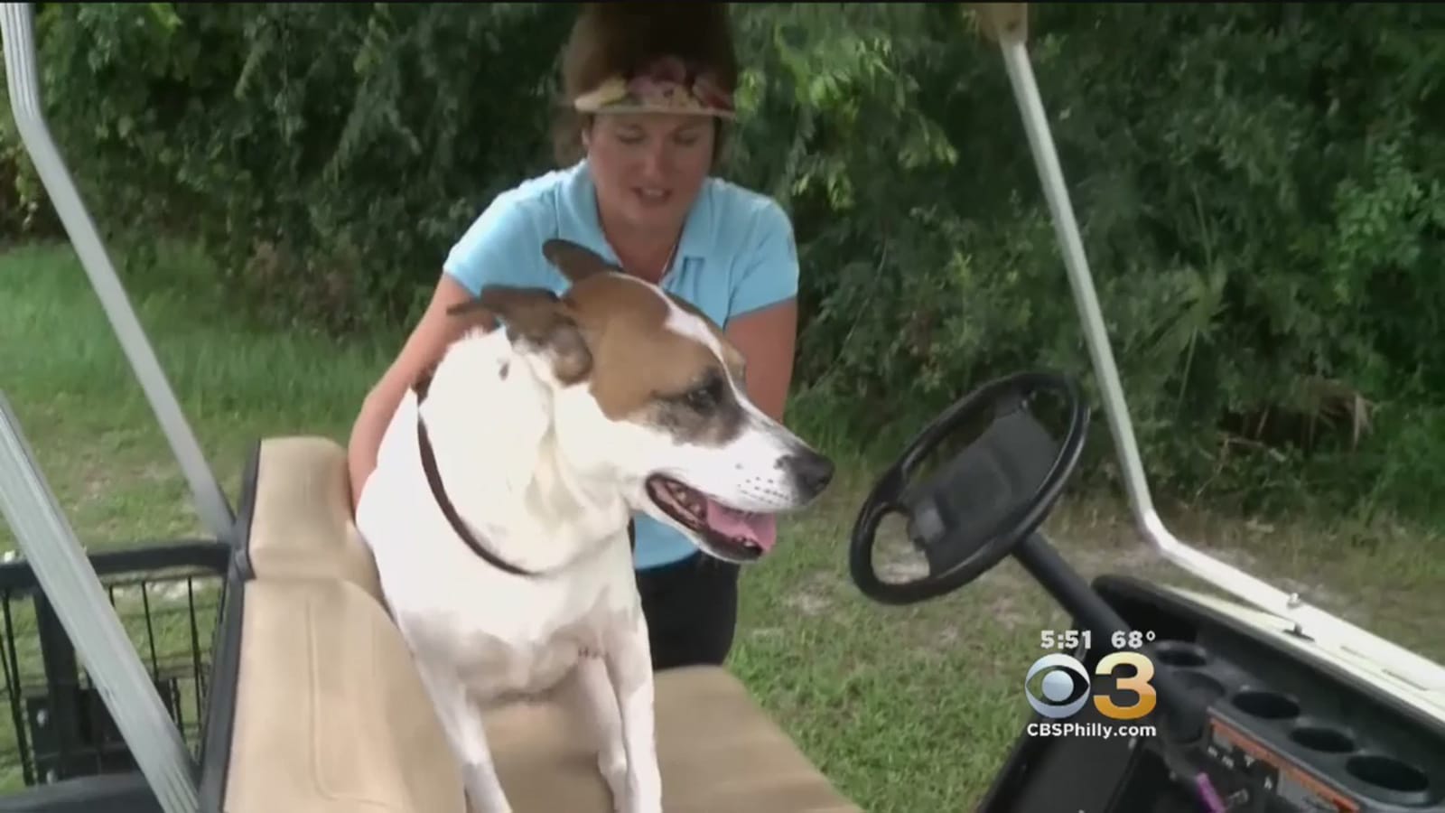 Florida Woman Risks Life to Save her Dog From Seven-Foot Alligator ...