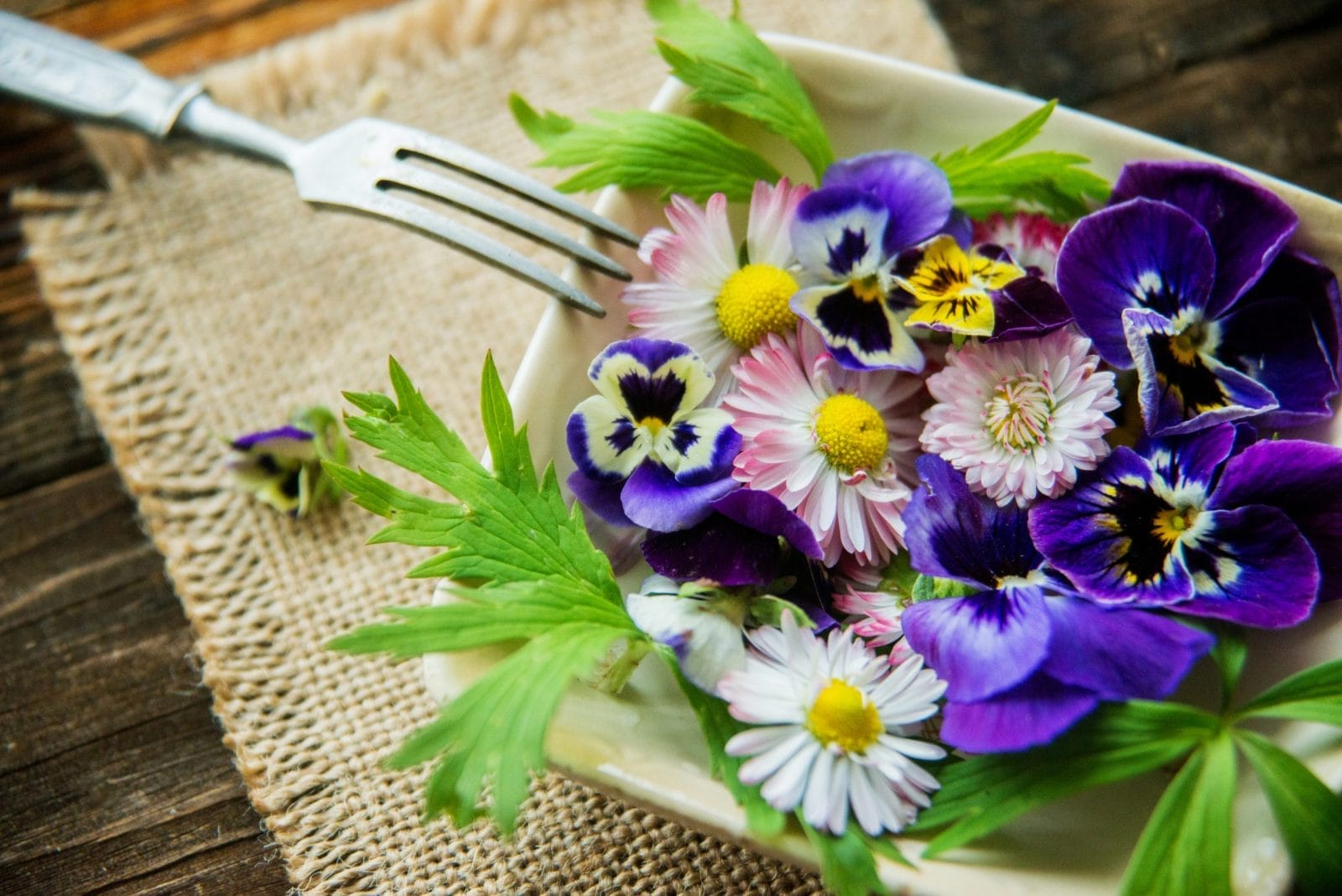10 Edible Flowers to Beautify Your Plate  One Green Planet
