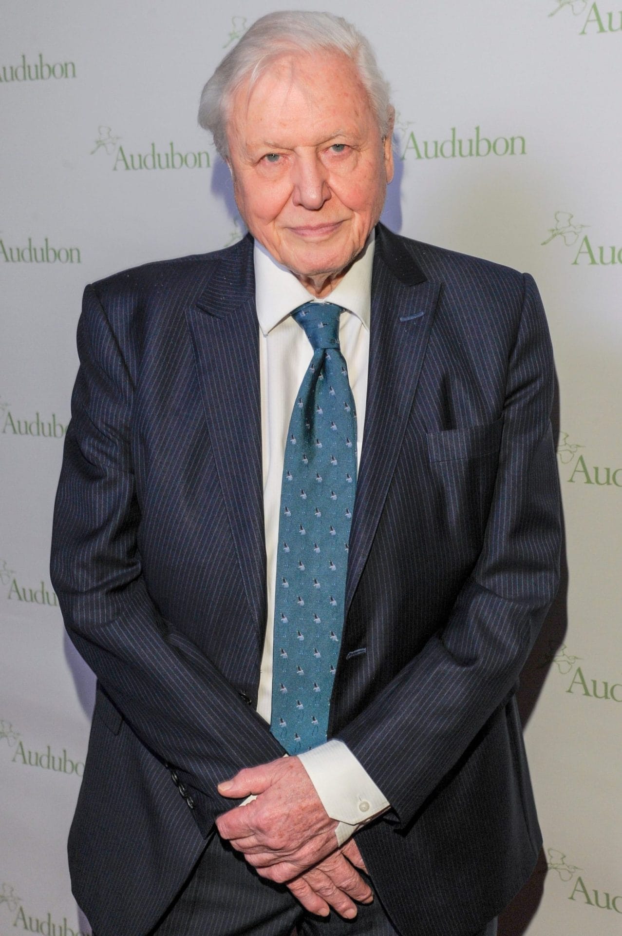 The Green Planet: New Documentary Series Hosted By Sir David Attenborough  Explores Secret Life of Plants  One Green Planet