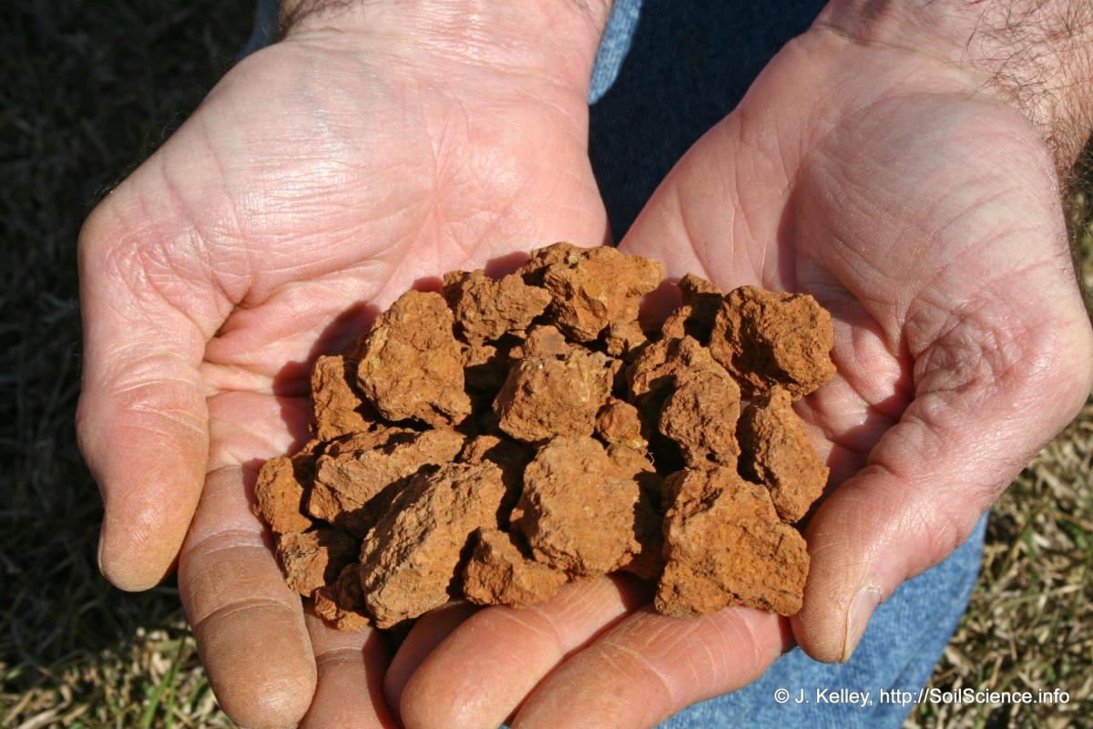 Understanding Soil Types for Better Gardening Success - Vimarsana News