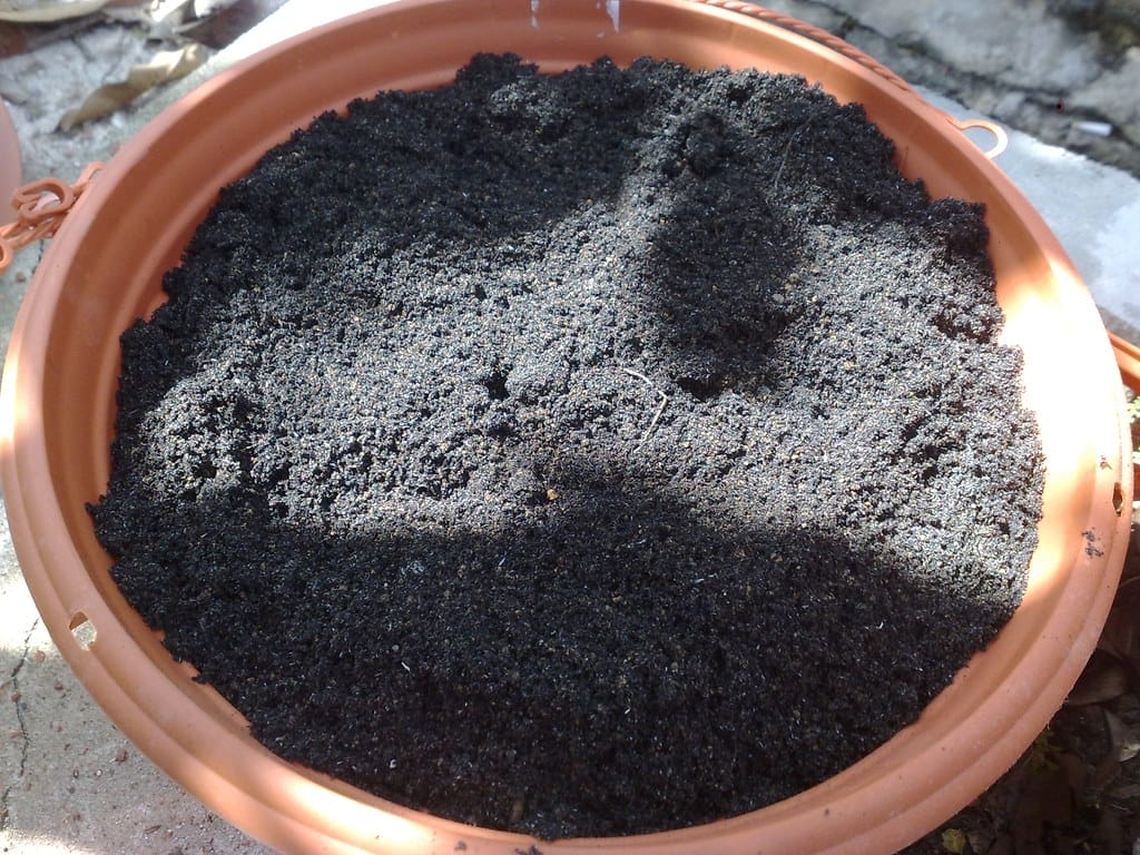 How to Reuse and Revitalize Old Potting Soil  One Green Planet