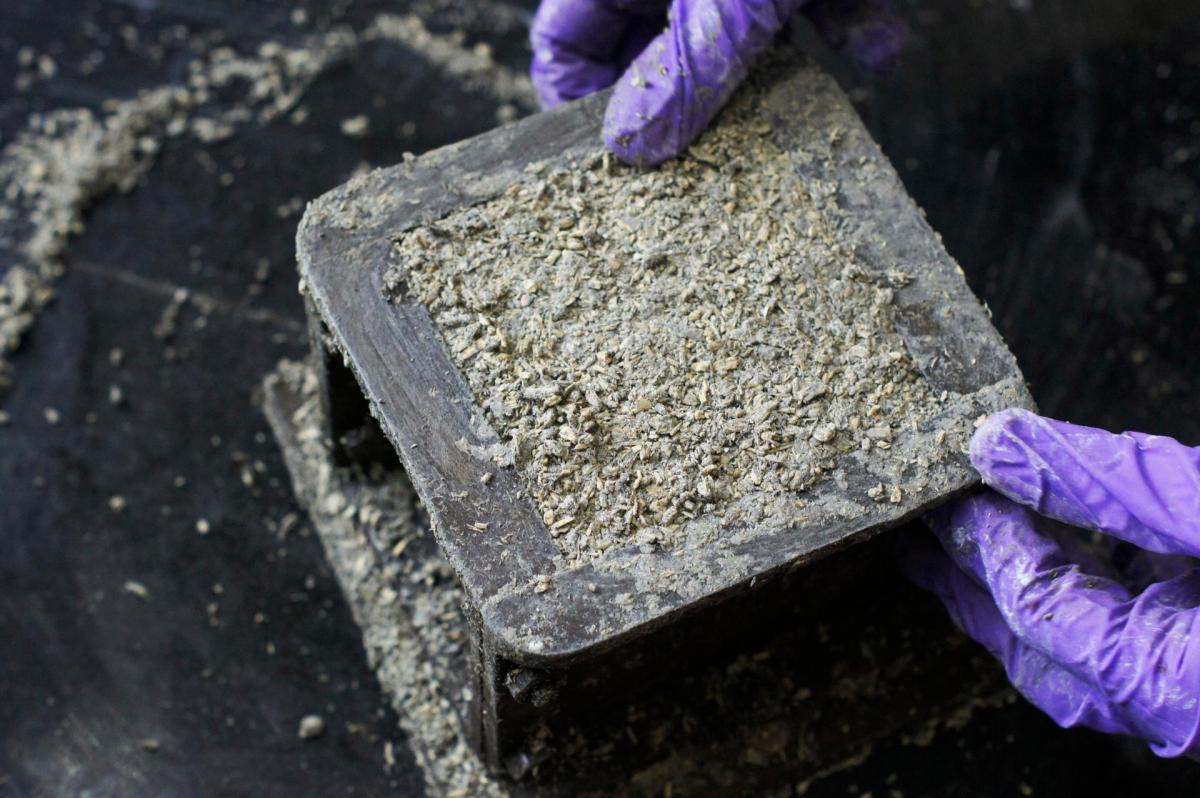 The High Hopes of Hemp in Sustainable Construction - Vimarsana News