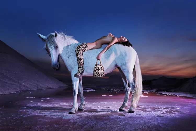 Stella McCartney Accused of Exploiting Horse in Latest Photo Shoot