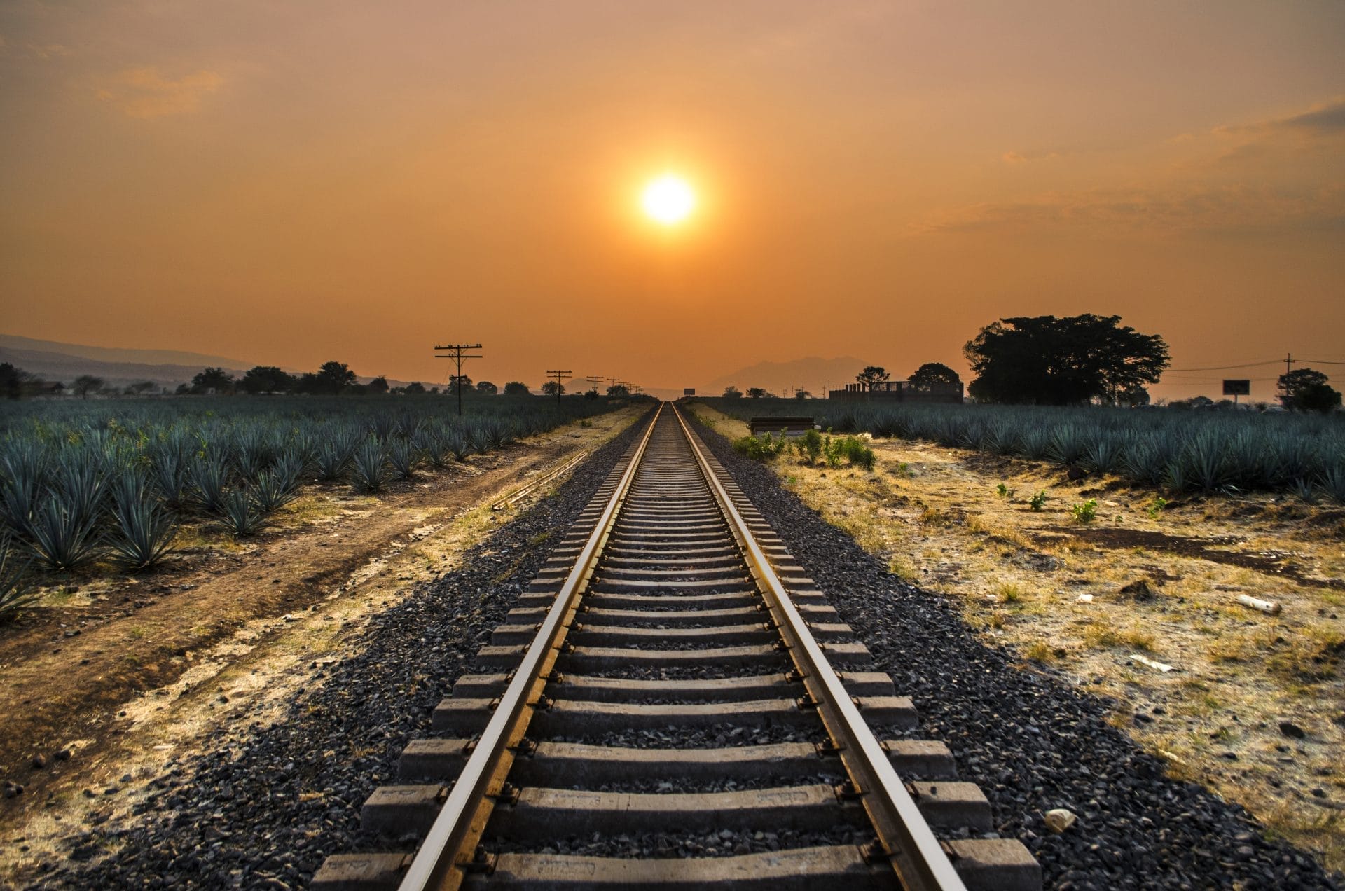 Mexico's Secretive $350 Million Border Train Line Ignored Environmental Concerns - Vimarsana News