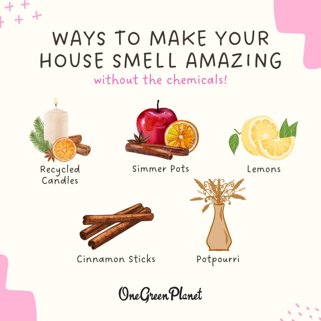 Natural Deodorizers That Actually Work
