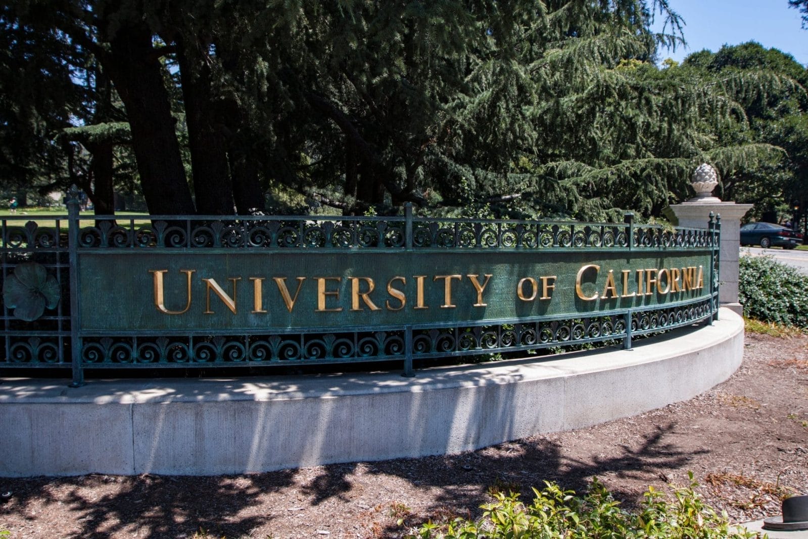 UC Berkeley and The Humane Society Collaborate to Make Campus Dining More Plant-Based - Vimarsana News