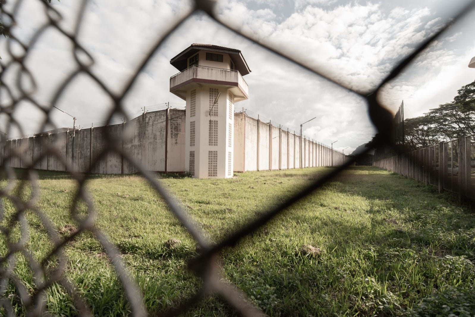 A Vegan Christmas Behind Bars at Britain's Top Security Prisons - Vimarsana News
