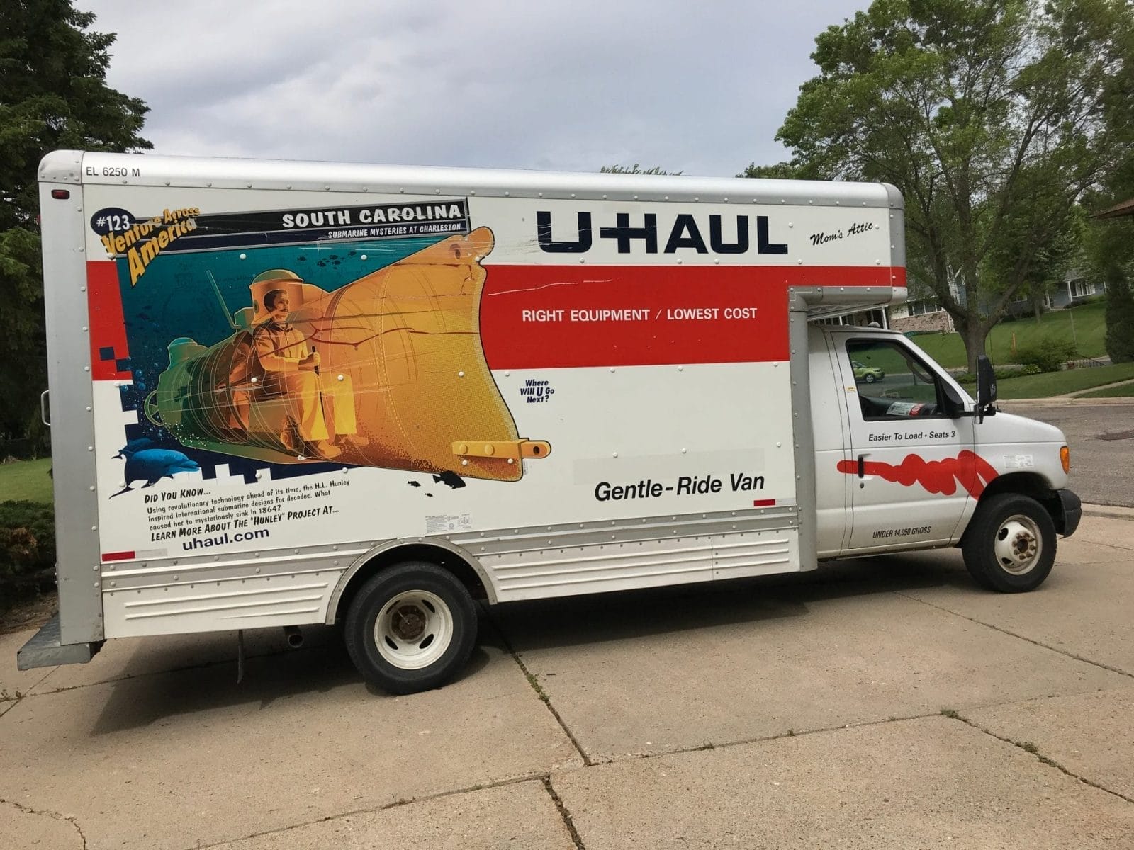 25 Dogs Rescued From the Back of a U-Haul - One Green Planet - Vimarsana News