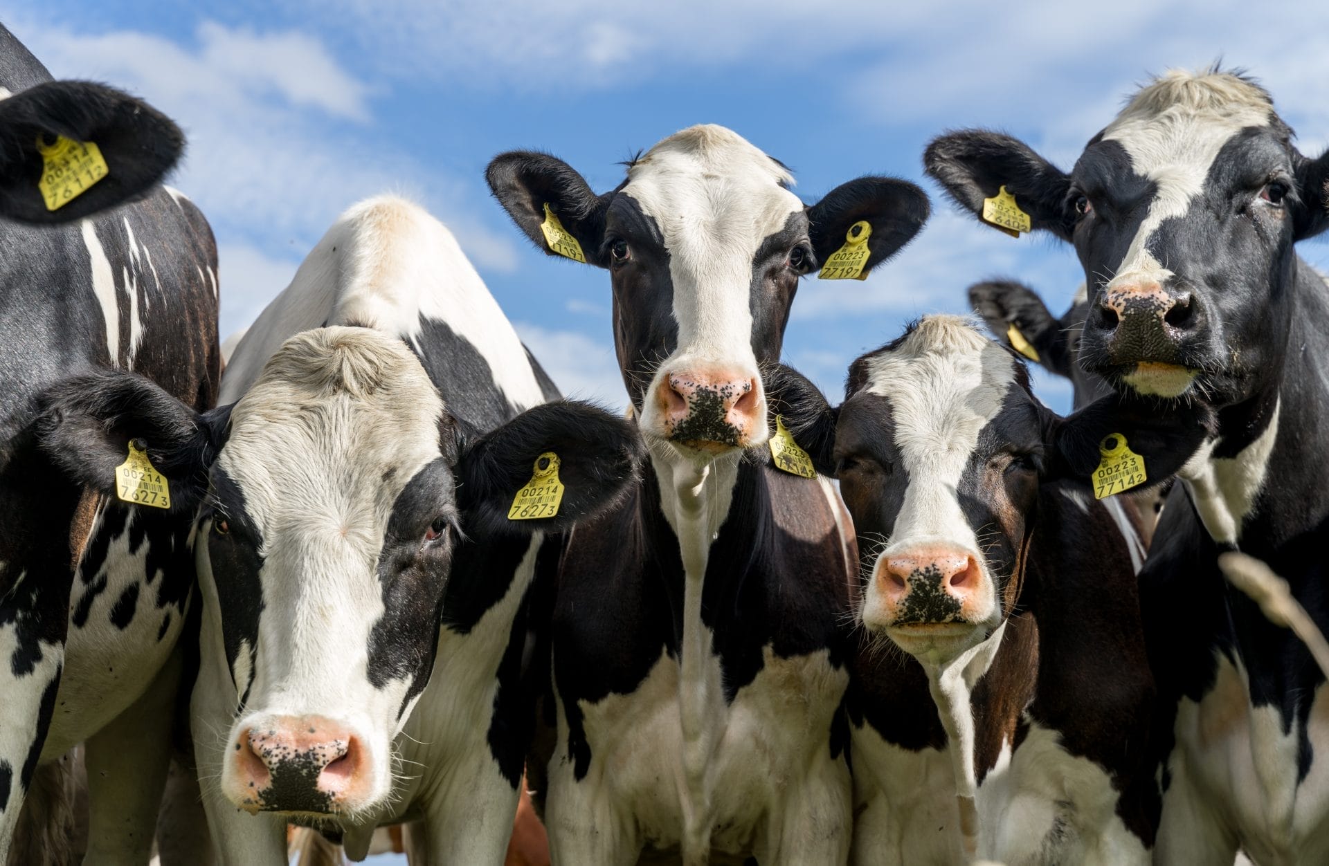 Groundbreaking Climate Summit Targets Global Food Crisis - Vimarsana News