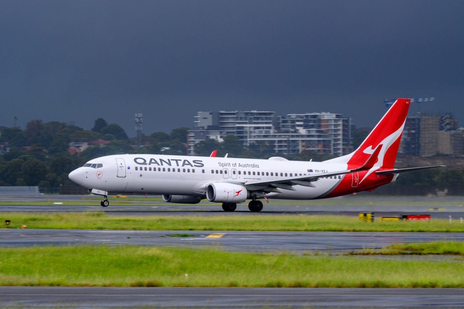 Qantas Flexes Policies to Save Homeless Pets - One Green Planet - Vimarsana News