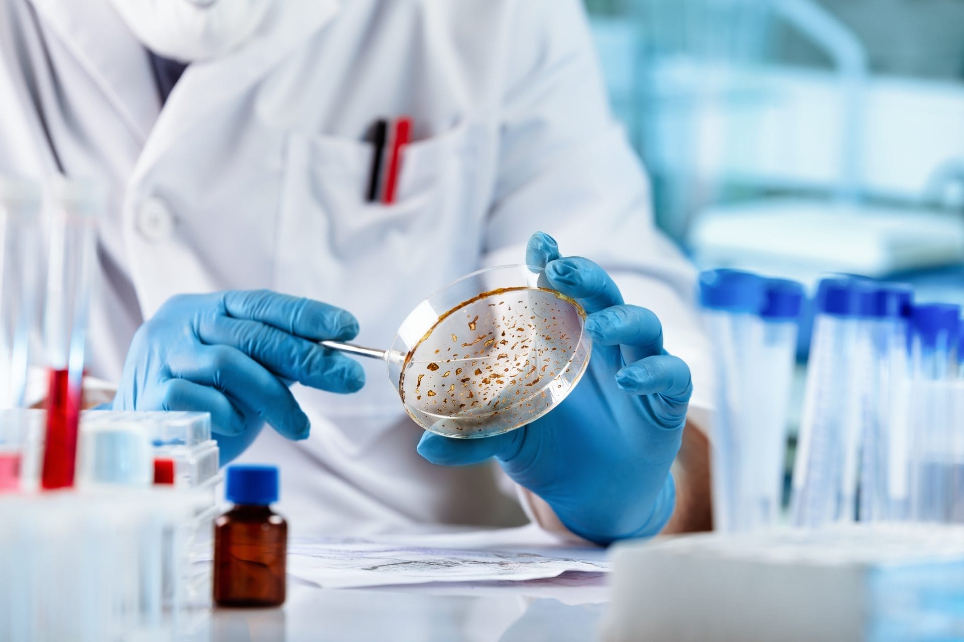 Microbiologists Join the Climate Change Fight: A Call for Inclusion at COP28 - Vimarsana News