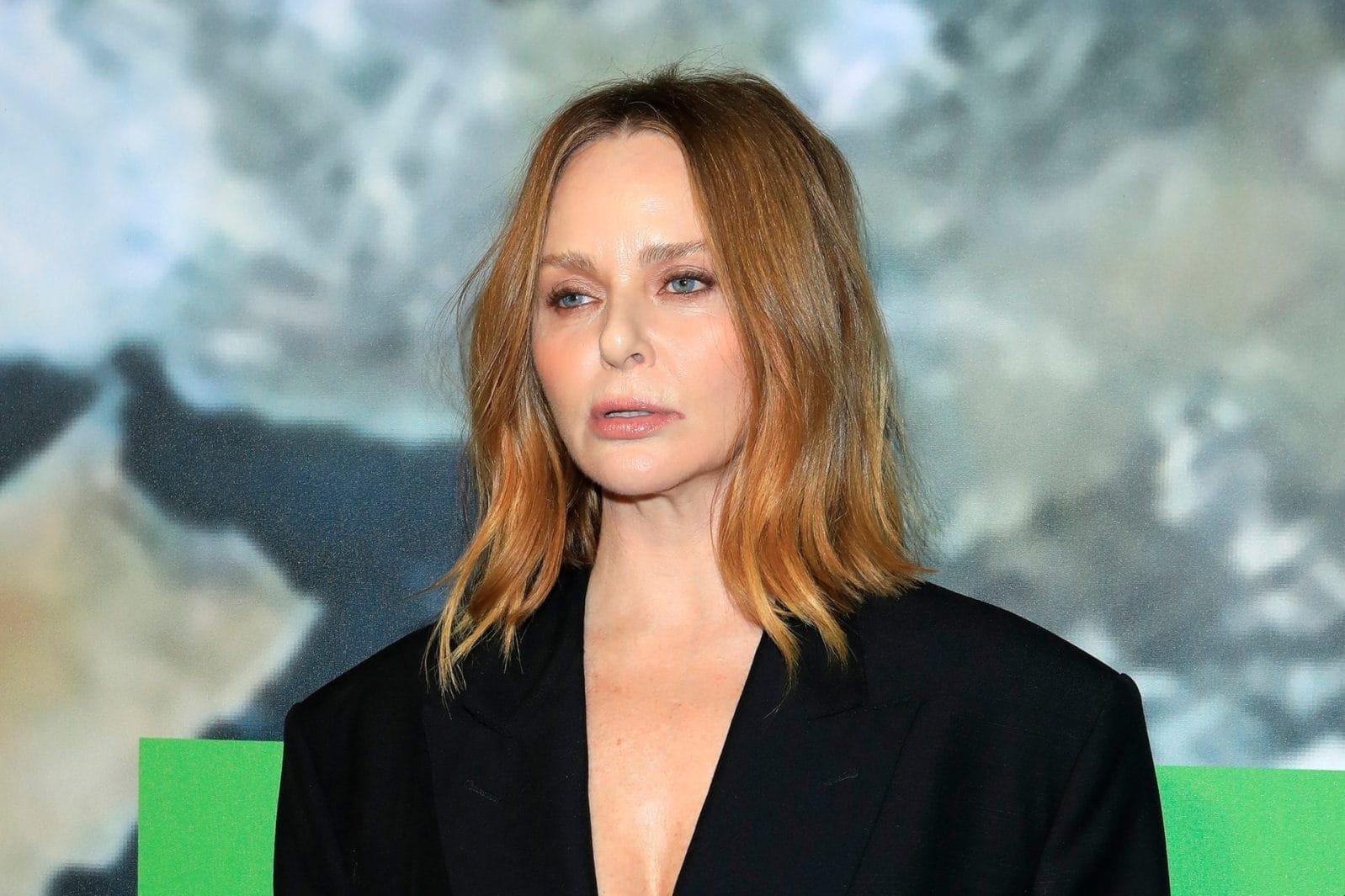 Stella McCartney Advocates for Eco-Friendly Fashion and Urges Tariff Reforms - Vimarsana News