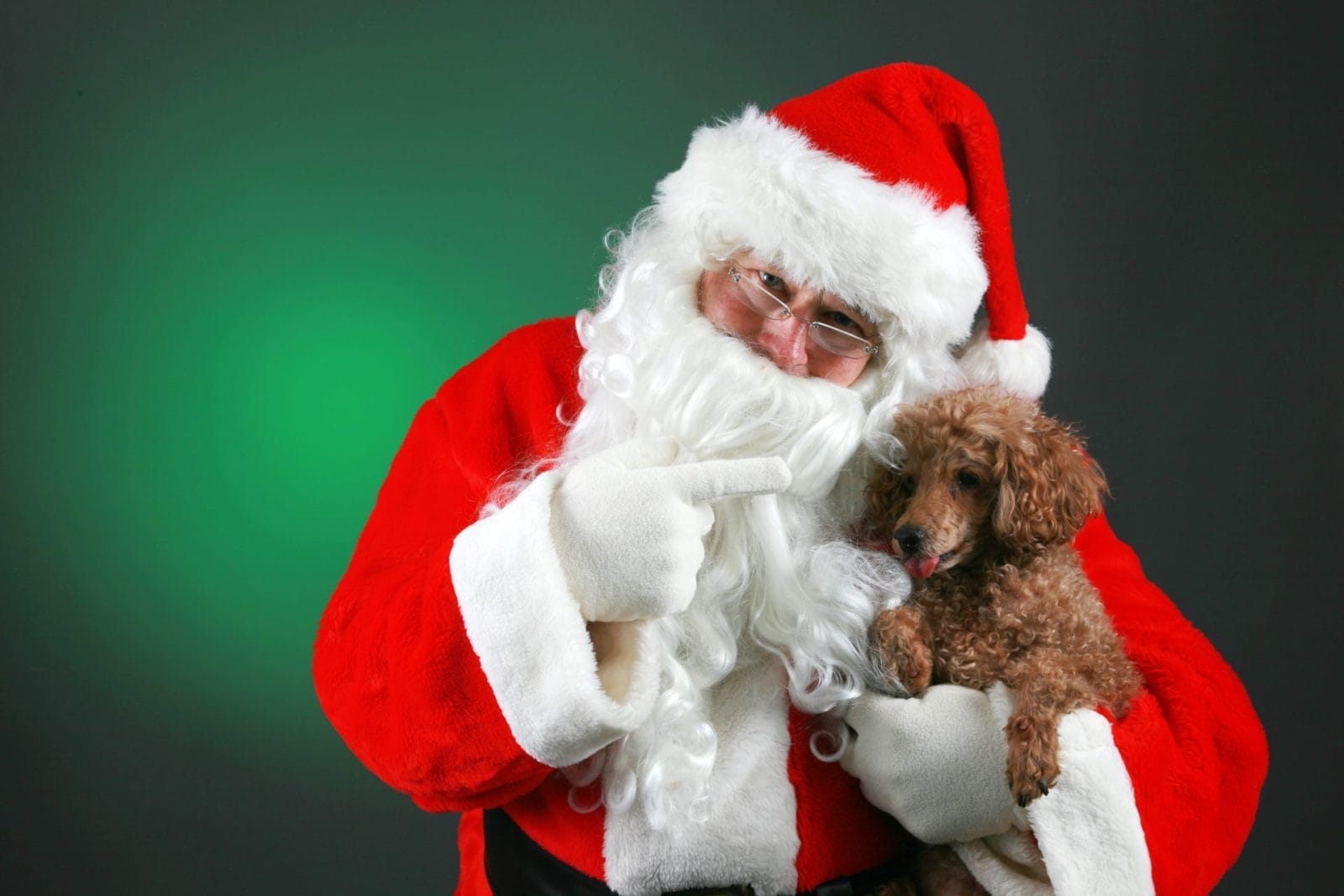 Vet Surprises Shelter Animals By Dressing up as Santa! - Vimarsana News