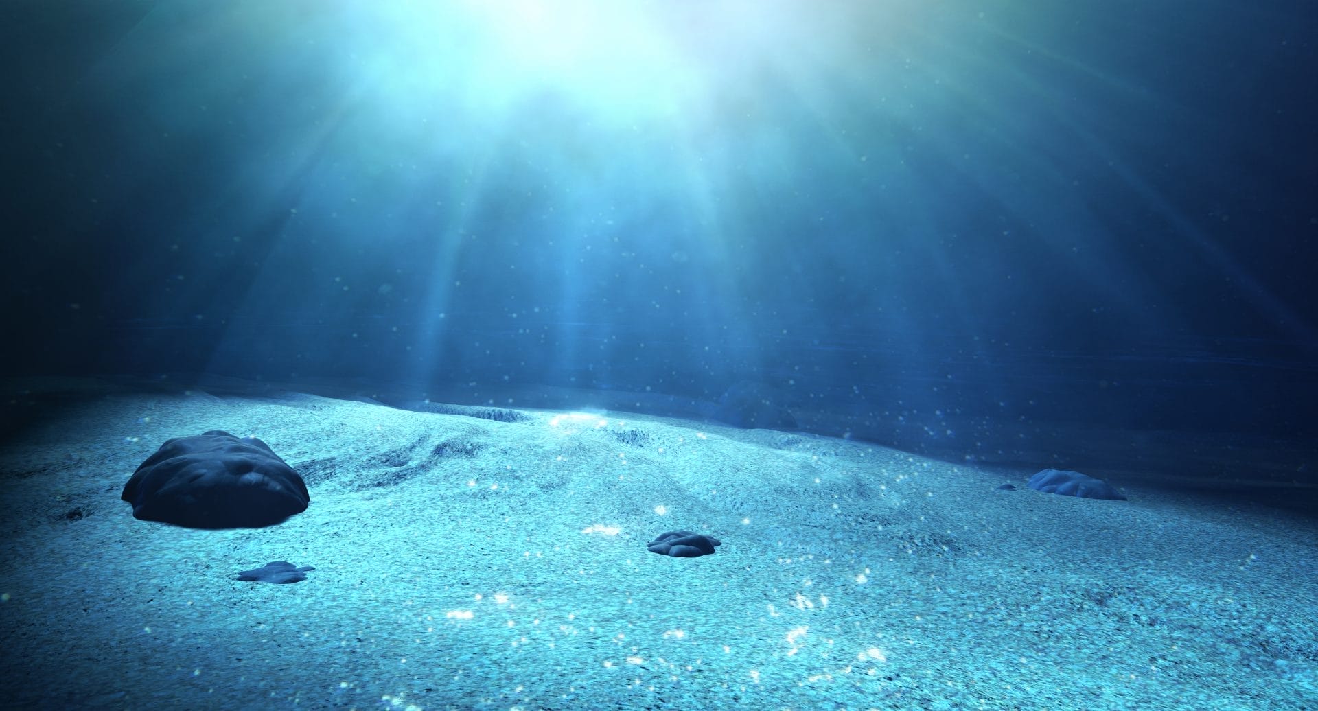 Companies are Sinking Plant Waste into the Ocean to Combat Climate Change - Vimarsana News