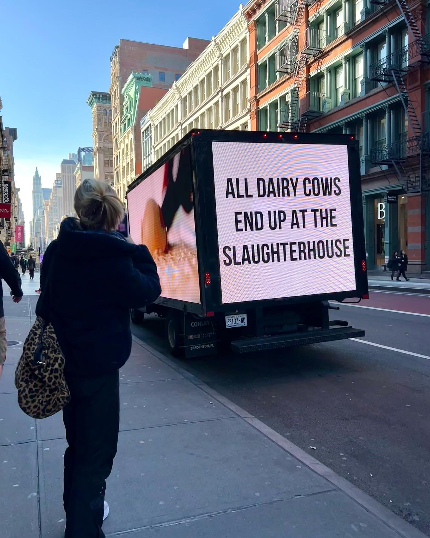 Praxis and Activists Unveil Bold Campaign Exposing Dairy Industry Deceptions - Vimarsana News