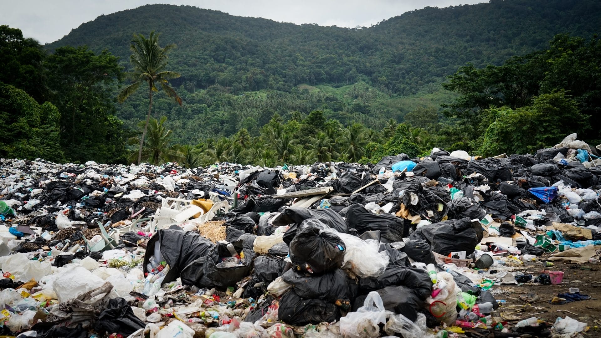 Huge Amounts of Europe's Plastic Waste Ends Up in Vietnam's Natural Landscapes - Vimarsana News