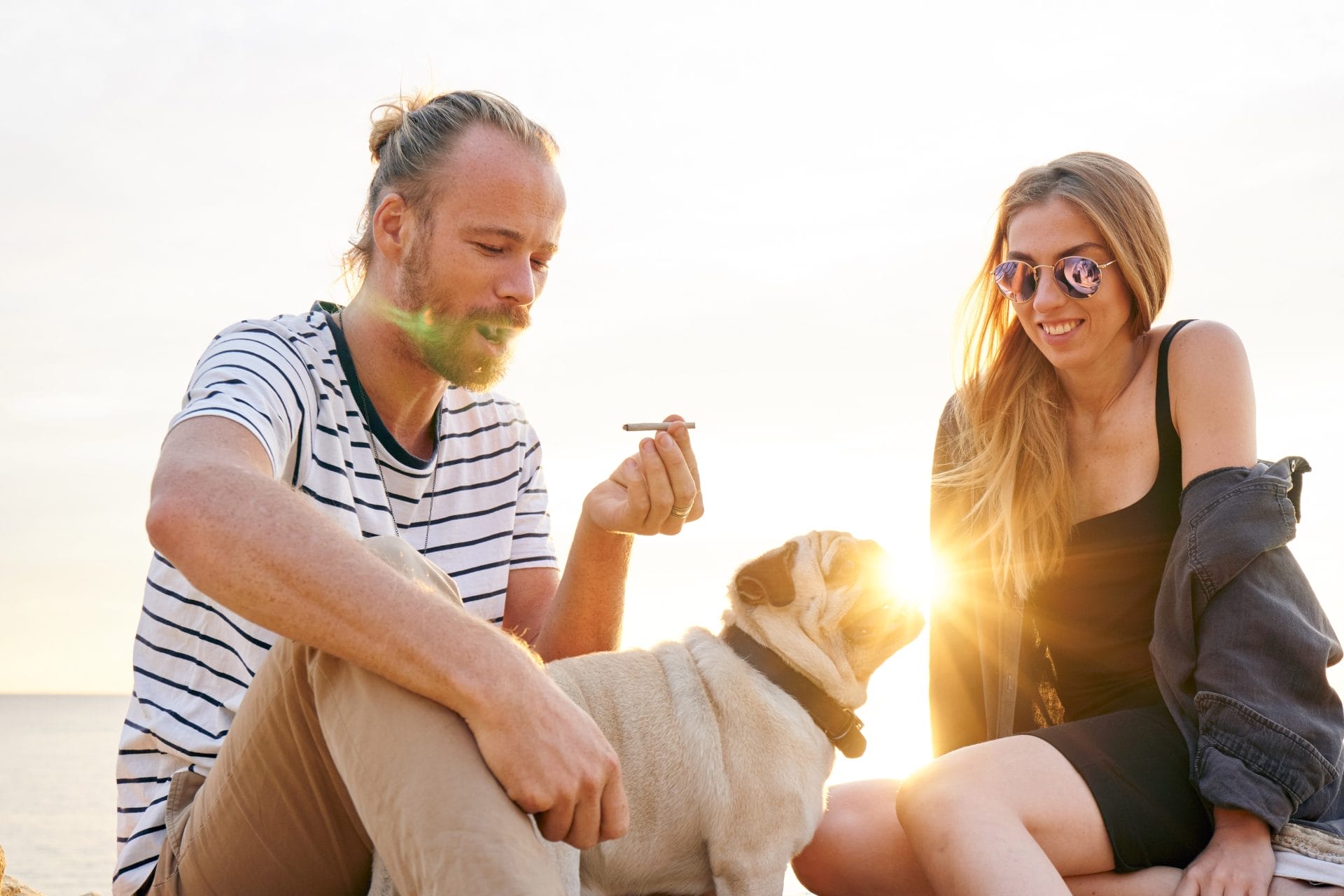 Daily Top News: Cigarrete Smoke Increases Dogs' Risk of Cancer, The Laughing Cow's New Plant-Based Cheese, 2023 Was Earth's Hottest Year in a Century, and More! - Vimarsana News