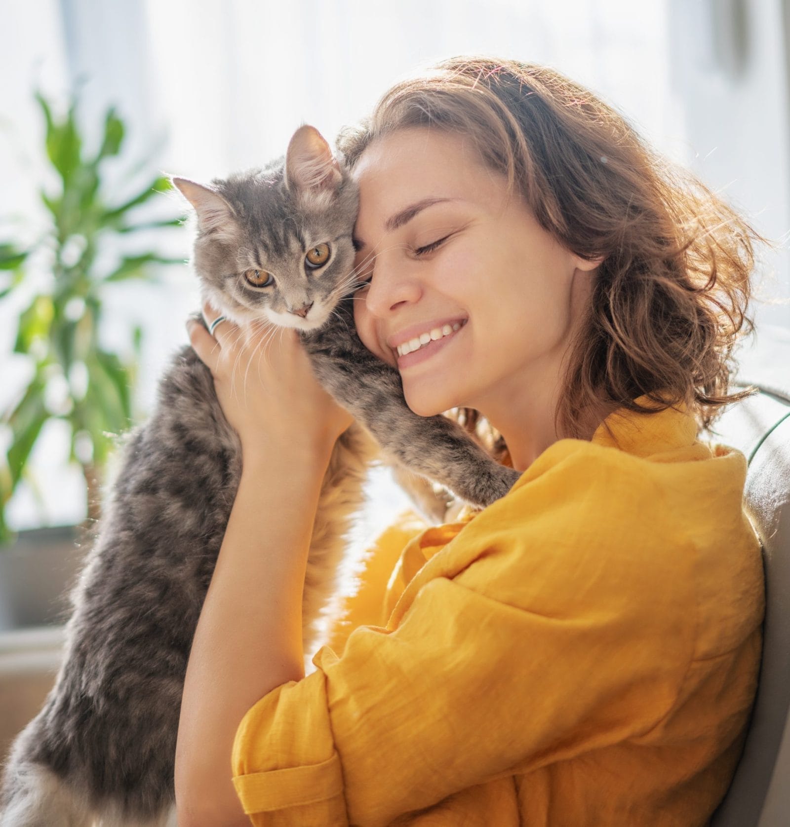 "Nose to Toes" Program to Provide Medical Care for the Pets of Homebound Seniors - Vimarsana News