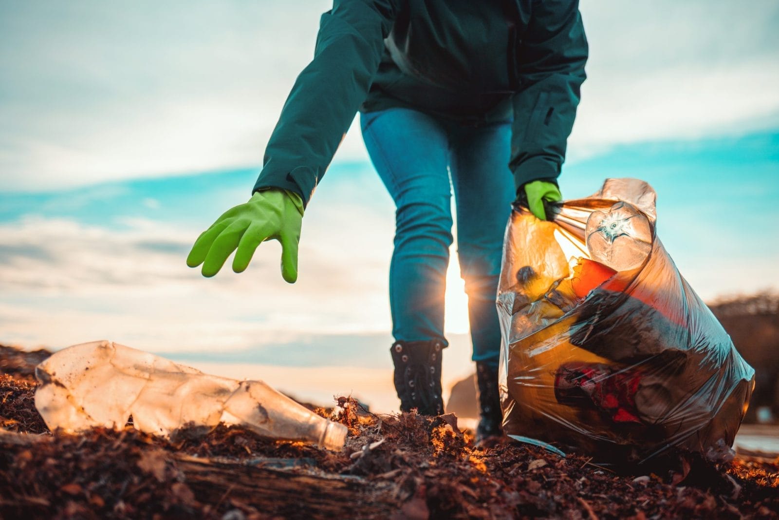 10 Marine Conservation Projects Making a Difference: Restoring Our Oceans – One Green Planet - Vimarsana News