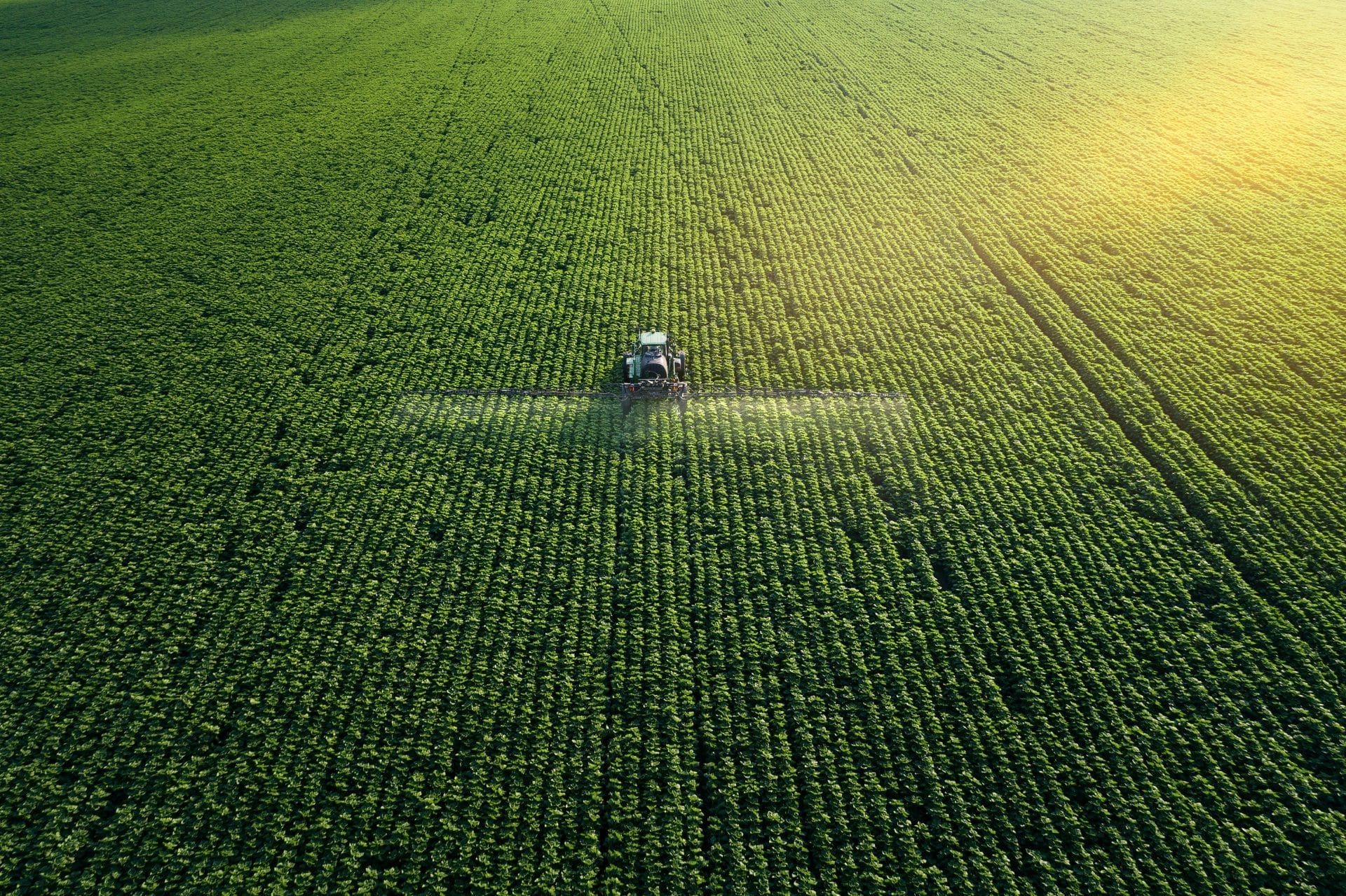Daily Top News: Disturbing Investigation into Animal Blood Bank, Woman with Allergy Dies After Consuming Dairy, Fertilizers are Fueling Microplastic Pollution in Our Soils, and More! - Vimarsana News