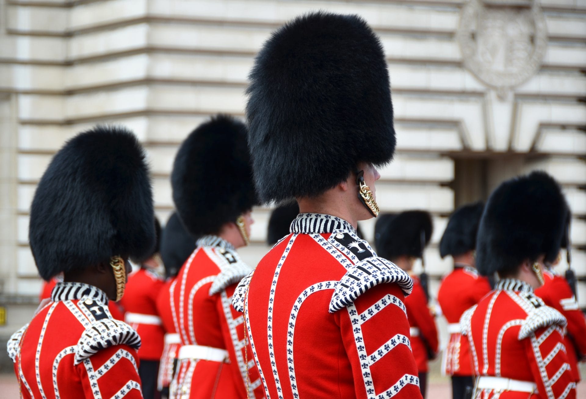 Daily Top News: Man Faces Charges for Spray-Painting Squirrels, Stephen Fry Campaigns Against Bearskin Caps, Groups Demand USDA Reevaluate Meat's Climate Impact, and More! - Vimarsana News