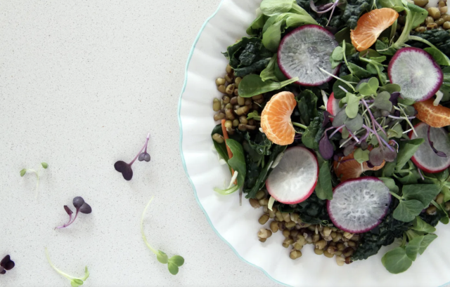 15 Ravishing Plant-Based Radish Recipes - One Green Planet - Vimarsana News