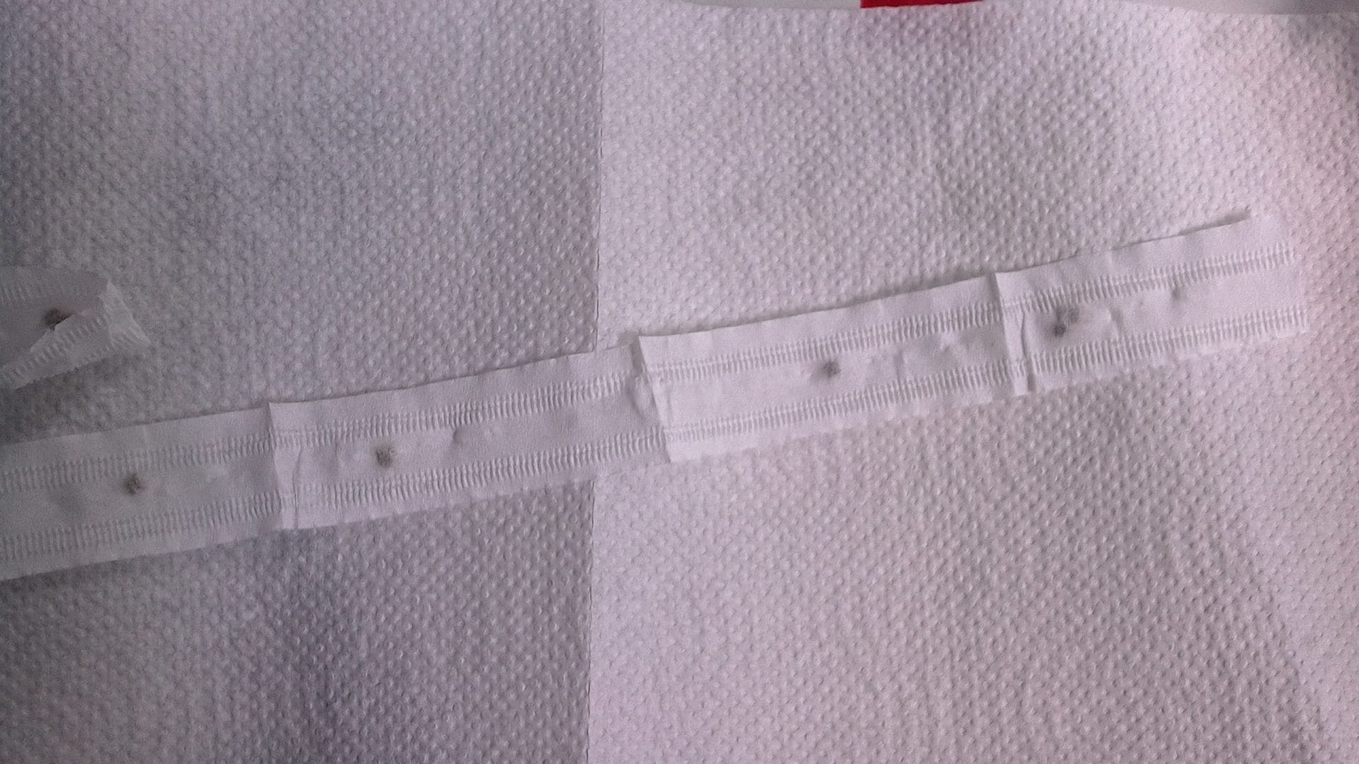 What is Seed Tape, Why People Use It, and How to Make Your Own – One Green Planet - Vimarsana News