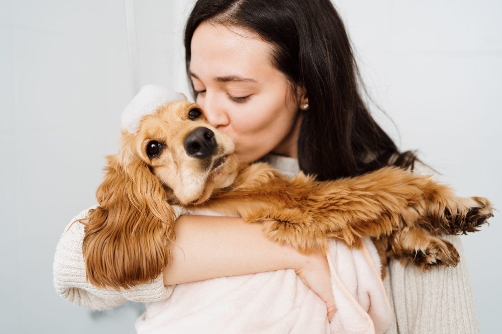 Adorable Moment! Cocker Spaniel Needs Bedtime Kiss - Vimarsana News