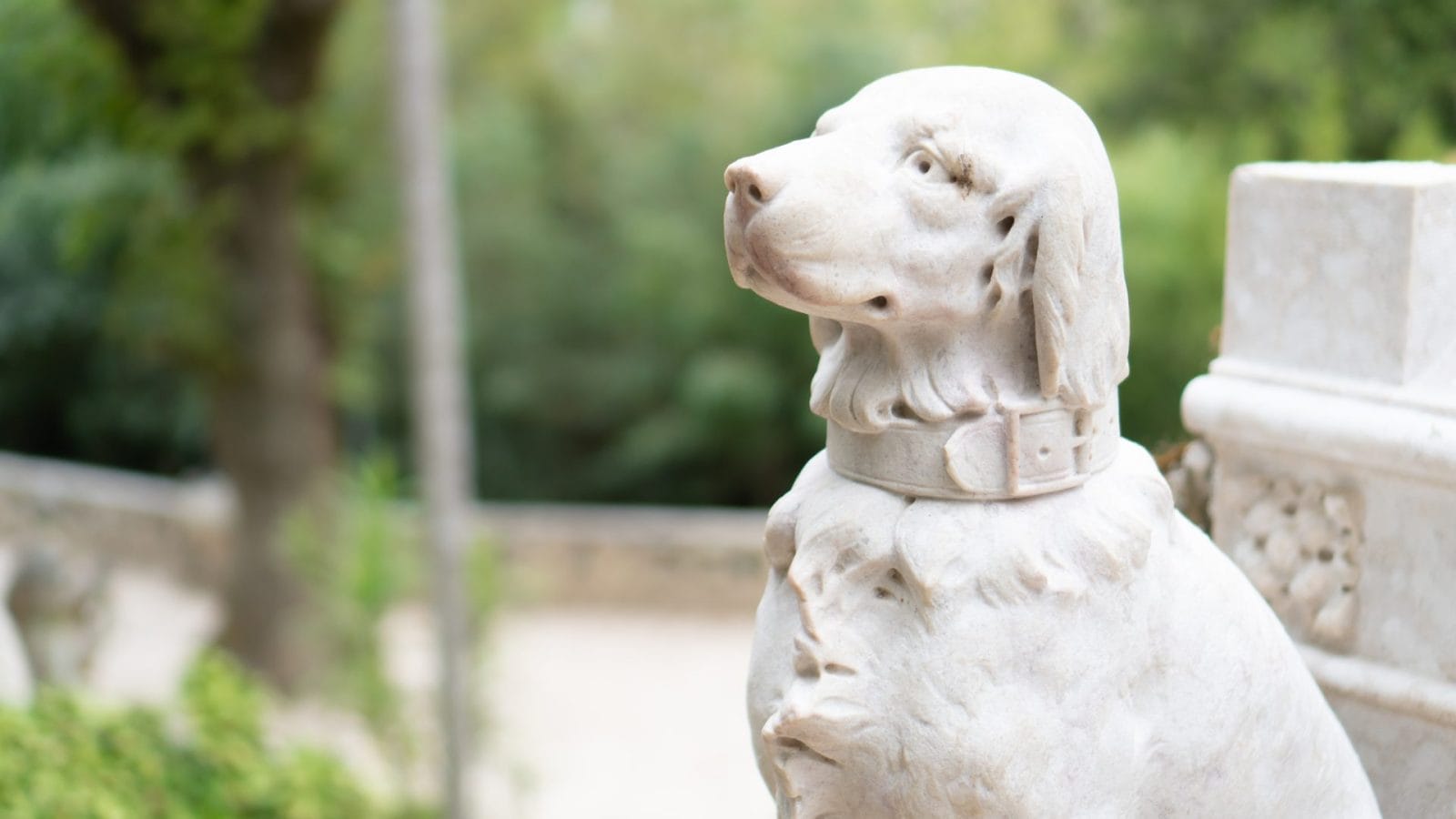 Parisian Monument Honors Animals Who Died in WWI - Vimarsana News