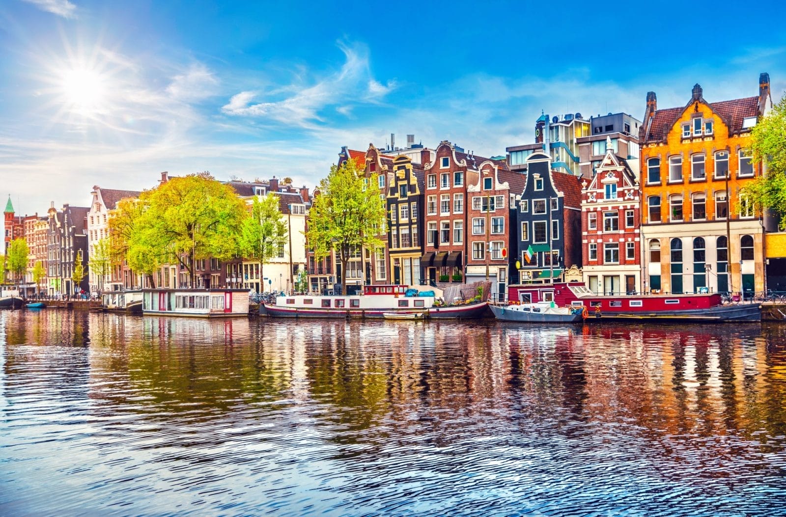 Amsterdam Leads the Way by Endorsing a Plant-Based Treaty - Vimarsana News