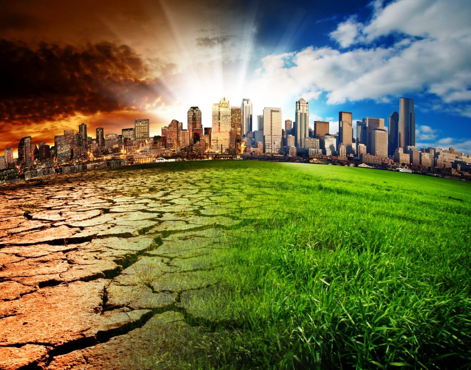 Global Warming Over the Past 10 Years: A Timeline of Events and Impacts – One Green Planet - Vimarsana News