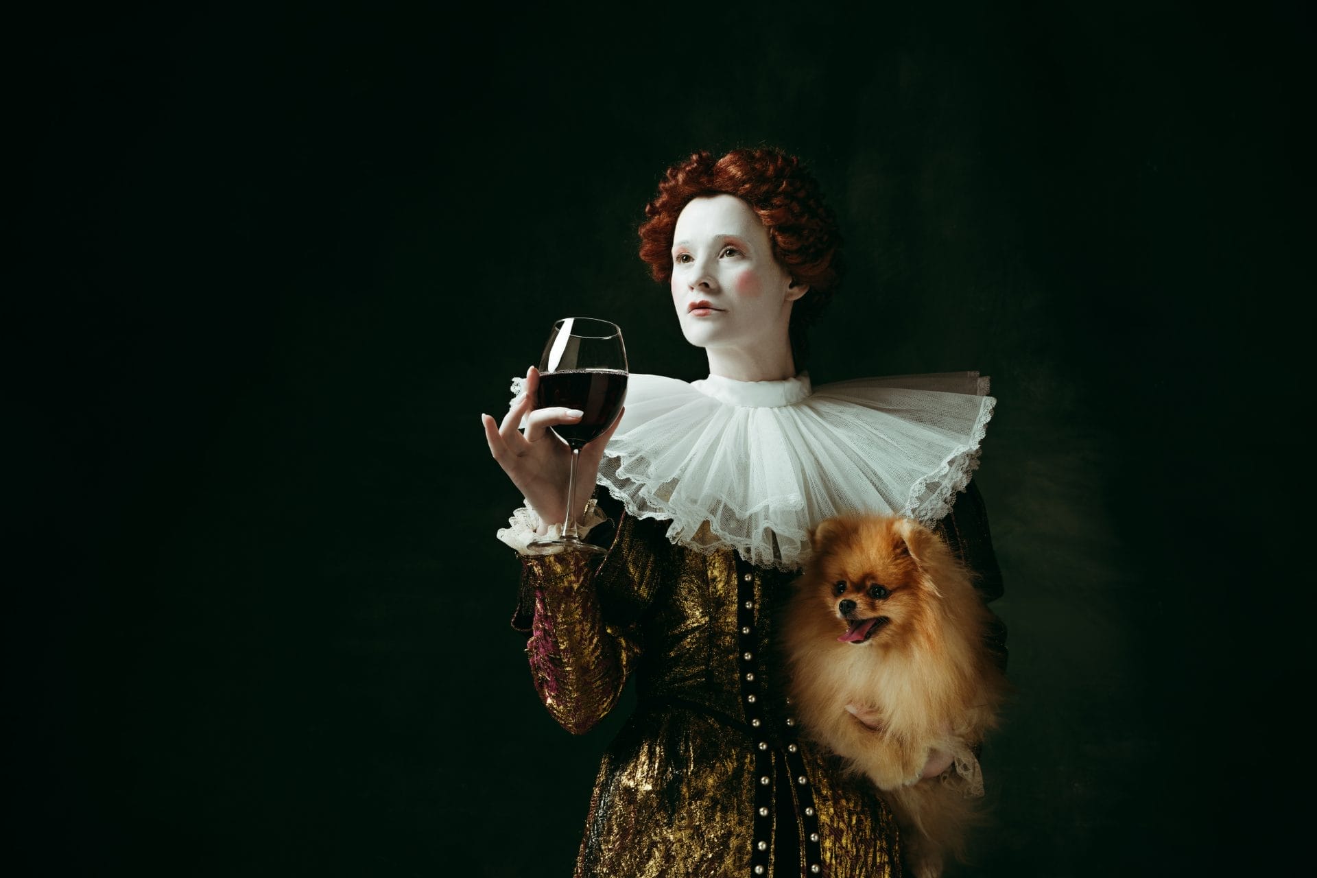 A Glimpse into the Lives of Dogs in the Middle Ages - Vimarsana News