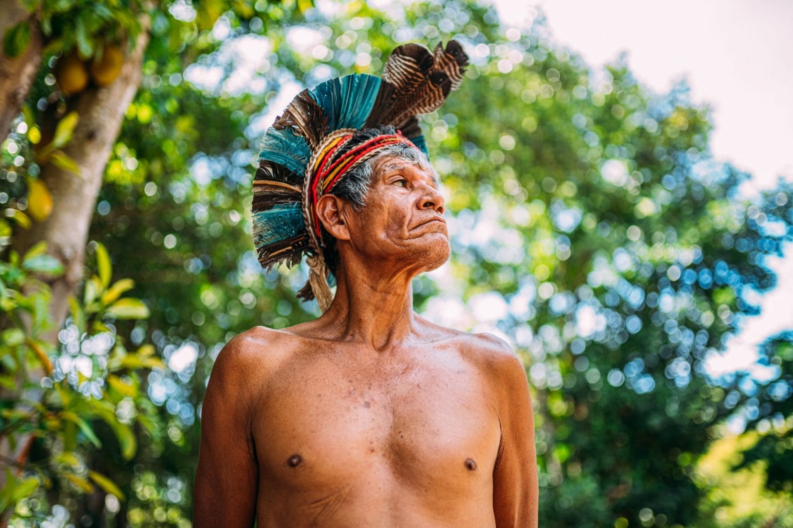 7 Extraordinary Tribes and Communities Across the World Worshiping Nature and Embracing Plant-Based Traditions - Vimarsana News