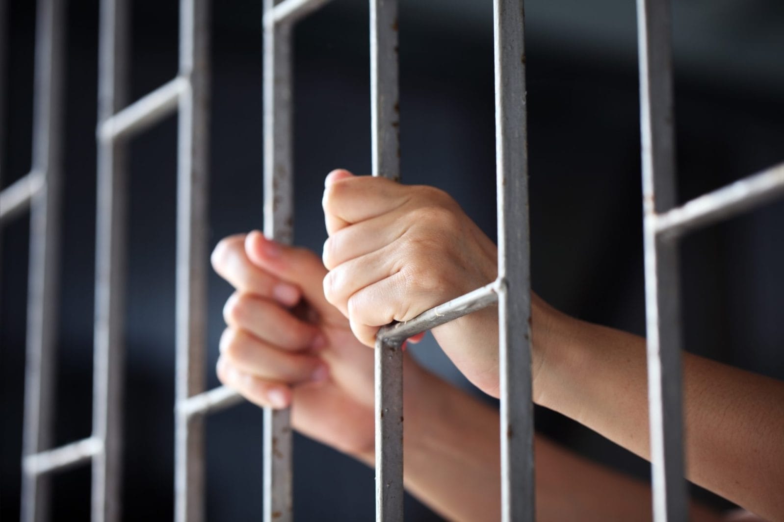 "Sadistic" Animal Torturer Sentenced to 2 Years and 8 Months in Prison - Vimarsana News