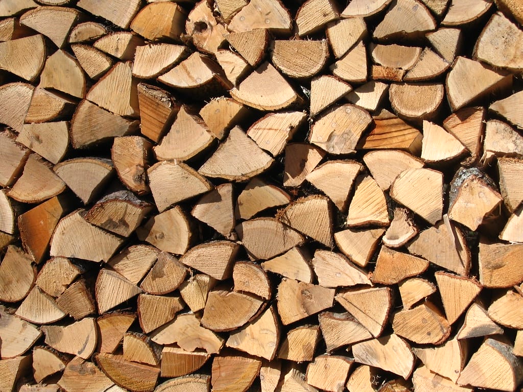Growing Your Own Firewood The Right Way – One Green Planet - Vimarsana News
