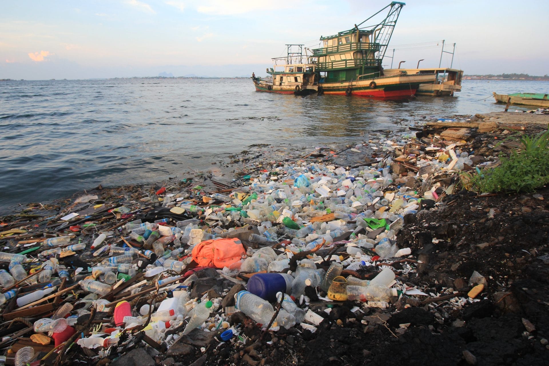 Global Debate Intensifies Over Plastic Use Amid Environmental Concerns – One Green Planet - Vimarsana News
