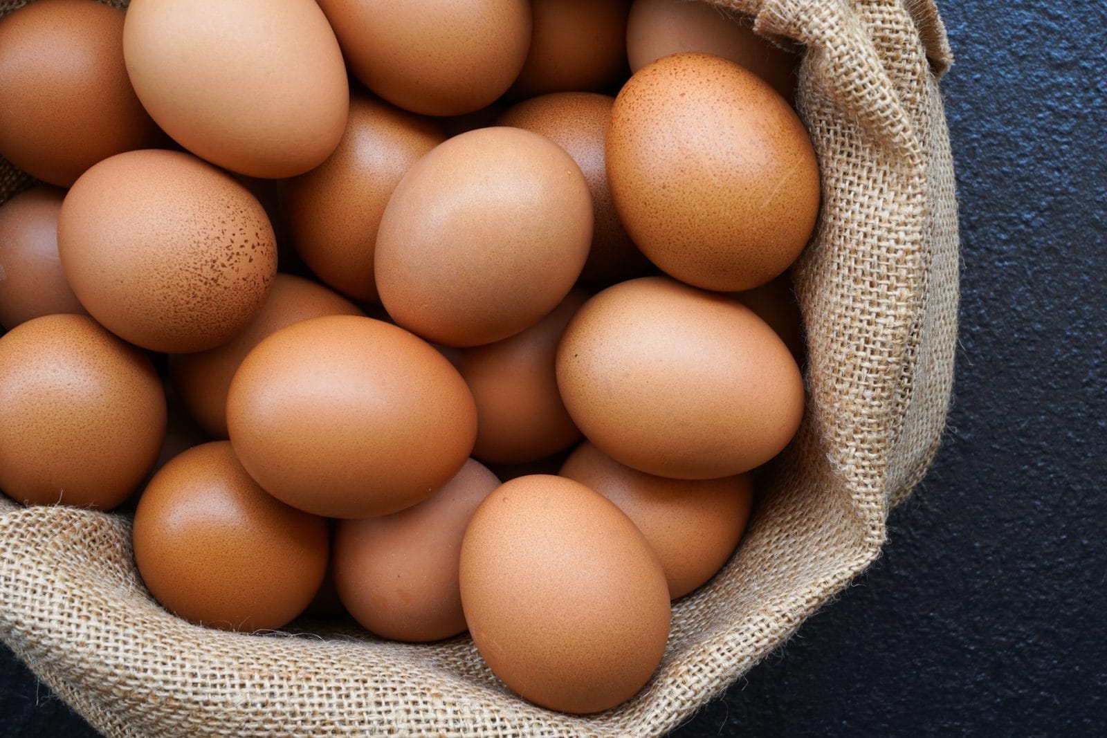Onego Bio Has Created an Animal-Free Egg Protein - Vimarsana News