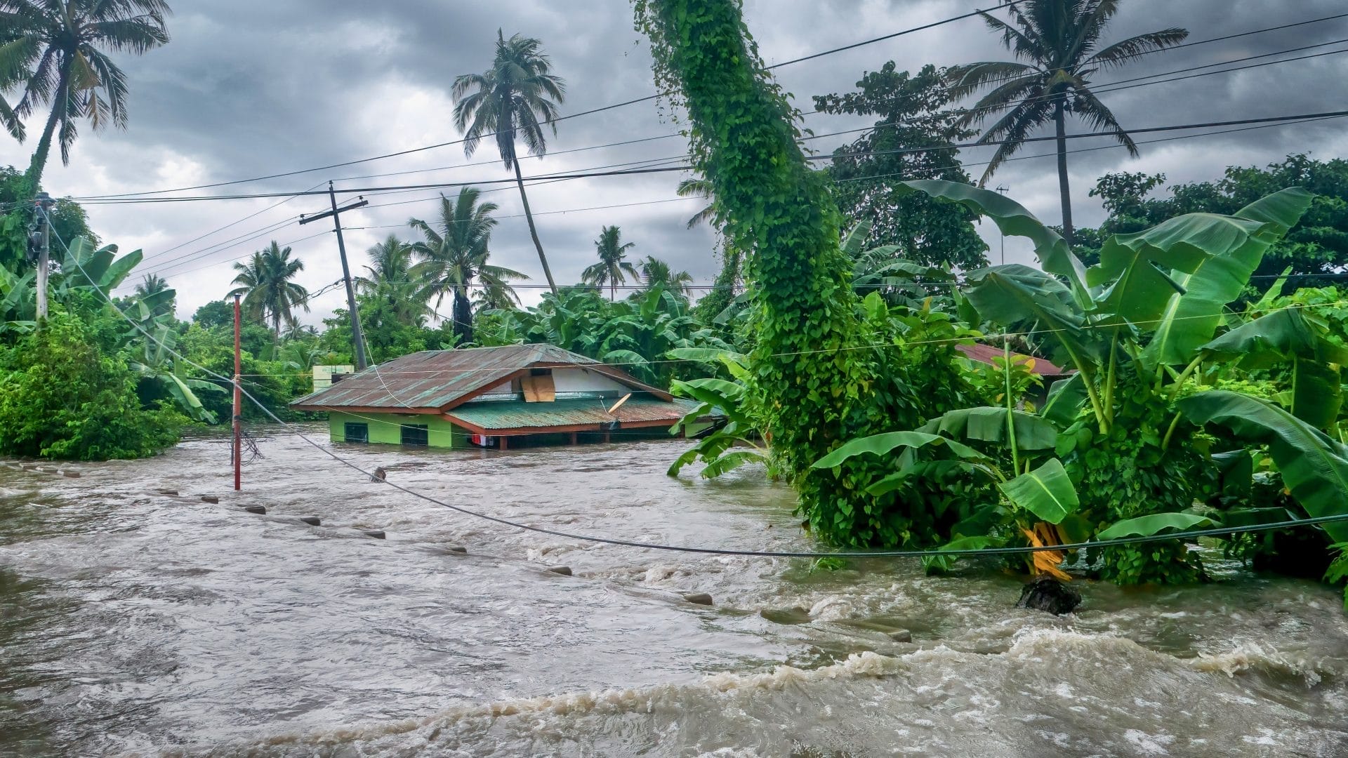 Asia Faces Unprecedented Climate Challenges as Temperatures and Extreme Weather Events Soar – One Green Planet - Vimarsana News