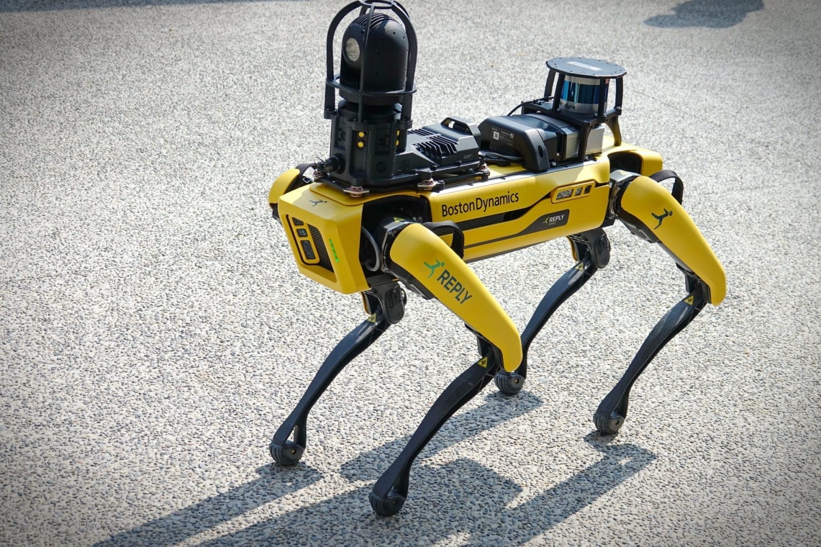 Robot Being Used to Scare Wildlife in Alaska - One Green Planet - Vimarsana News