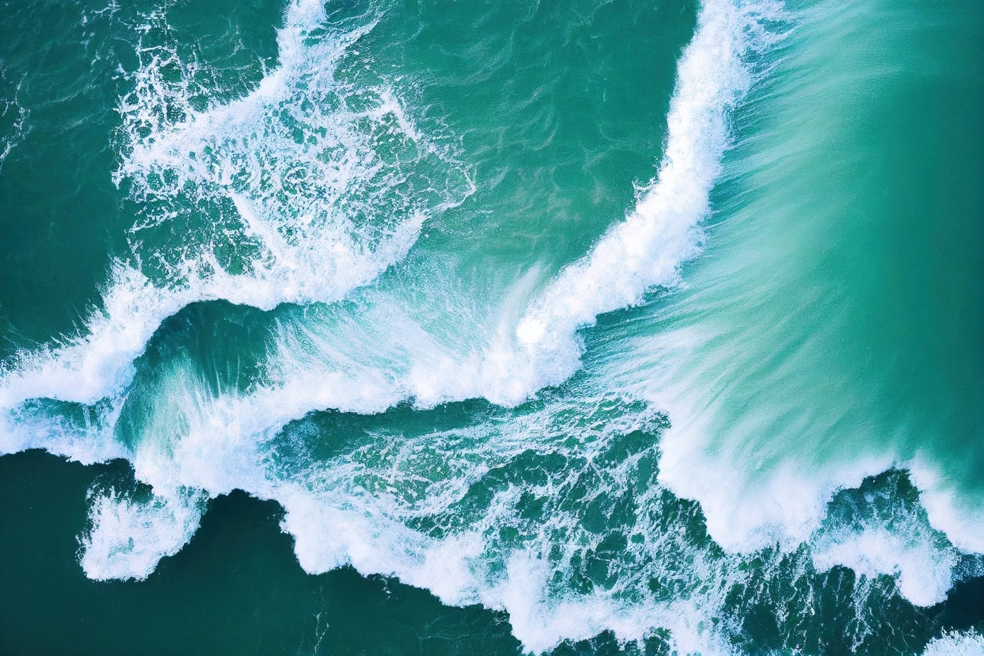 Climate Change Triggers Deadly Marine Cold Waves - Vimarsana News