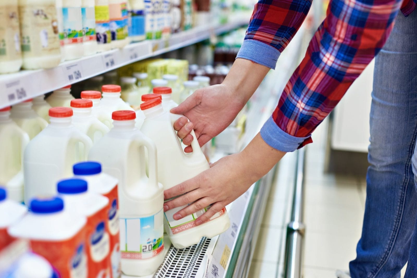 Bird Flu Traces Found in Pasteurized Milk Raise Concerns About Dairy Supply – One Green Planet - Vimarsana News
