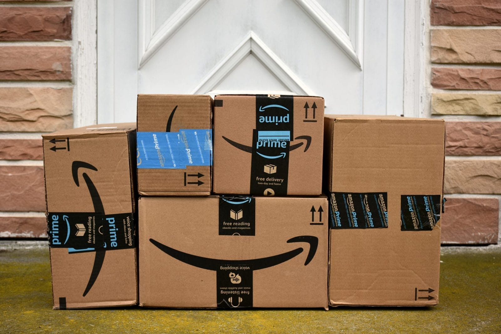 Cat Snuck Into Amazon Package and was Shipped Over 600 Miles – One Green Planet - Vimarsana News