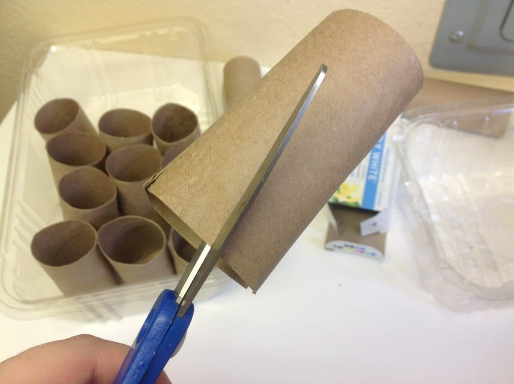 8 Creative Ways to Use Toilet Paper Rolls – One Green Planet - Vimarsana News