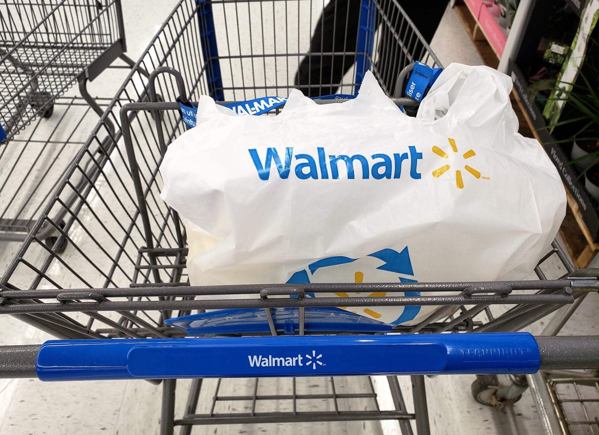 Investigation Tracks Walmart's Plastic Waste To Controversial Facilities In Southeast Asia – One Green Planet - Vimarsana News