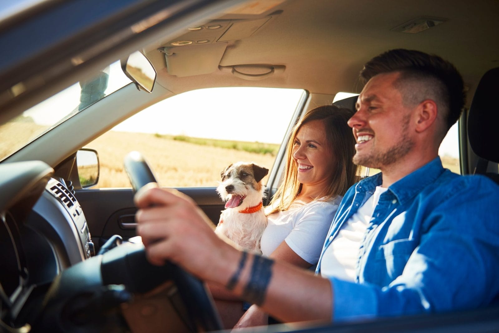 PETA Launches Worldwide Roundup of Vegan Car Interiors – One Green Planet - Vimarsana News