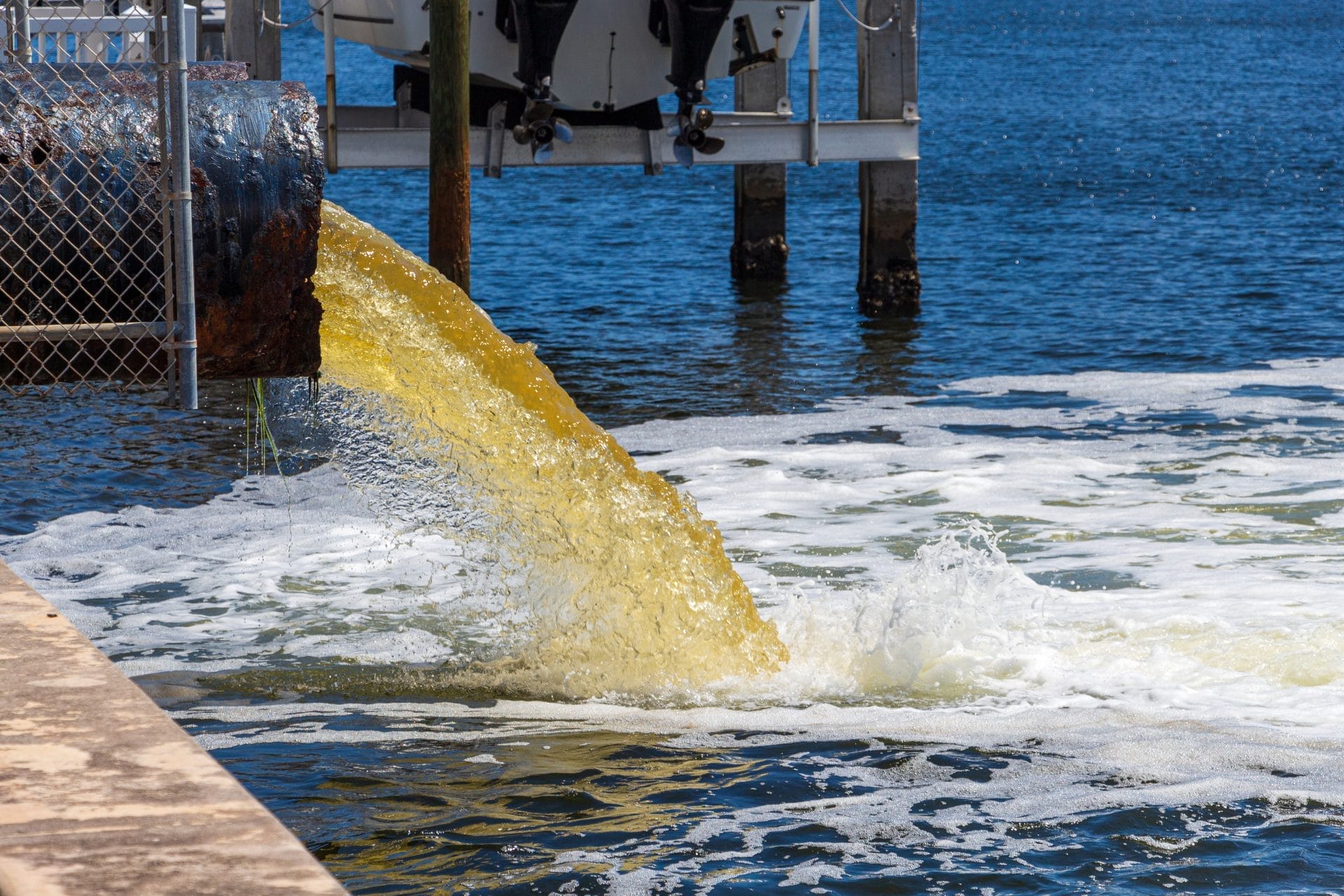 Florida Issues Warning About Fecal Water Pollution at Two More Popular Beaches – One Green Planet - Vimarsana News